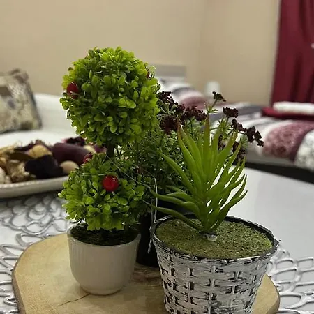 شقة Downtown *